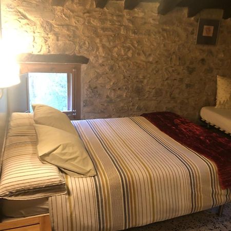 Maison d'hôtes Mas Molladar Solo Adultos à Camprodon Extérieur photo