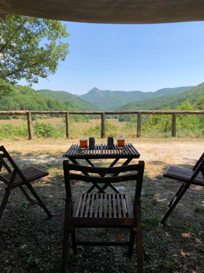 Maison d'hôtes Mas Molladar Solo Adultos à Camprodon Extérieur photo