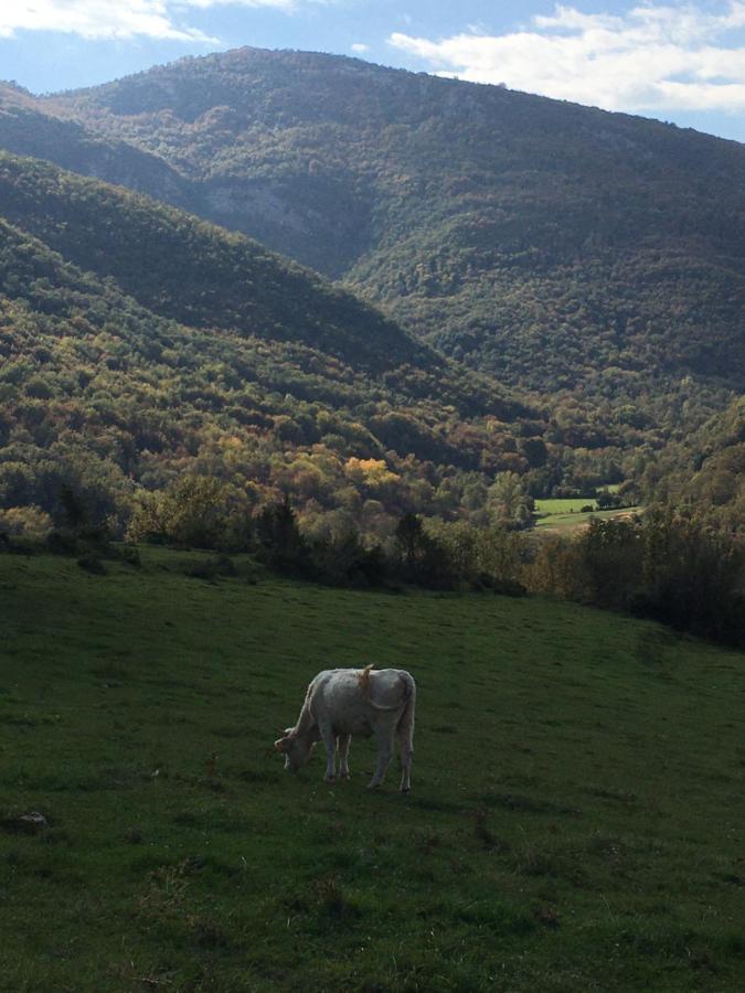 Maison d'hôtes Mas Molladar Solo Adultos à Camprodon Extérieur photo
